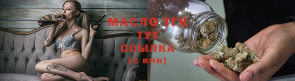 индика Вязьма