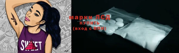 ГАЛЛЮЦИНОГЕННЫЕ ГРИБЫ Каменка