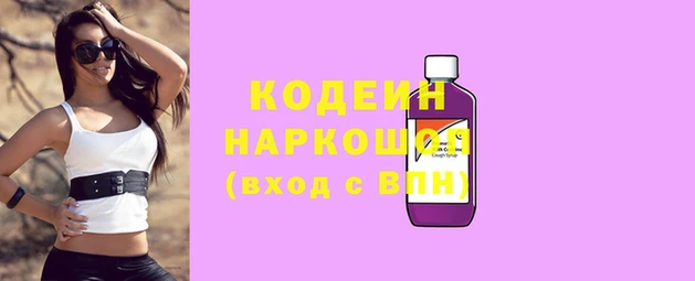 ГАЛЛЮЦИНОГЕННЫЕ ГРИБЫ Каменка