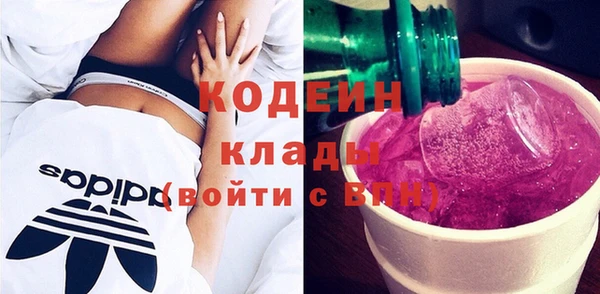 стаф Каменск-Шахтинский