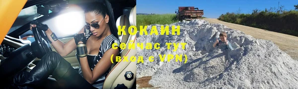 ГАЛЛЮЦИНОГЕННЫЕ ГРИБЫ Каменка